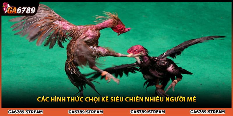 Các hình thức đá gà Ga6789 siêu chiến nhiều người mê