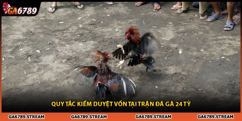 Quy tắc kiểm duyệt vốn tại trận đá gà 24 tỷ