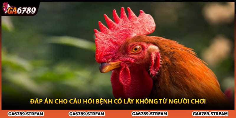 Đáp án cho câu hỏi bệnh có lây không từ người chơi