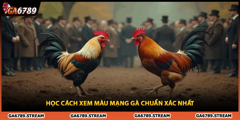 Học cách xem màu mạng gà chuẩn xác nhất