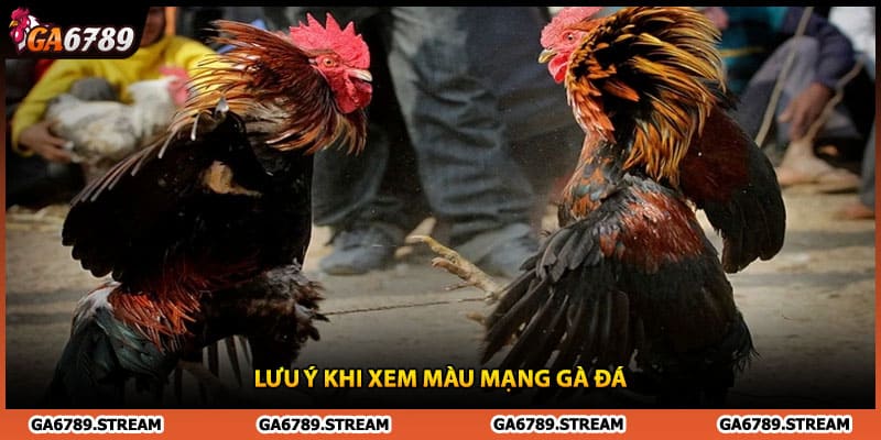 Lưu ý khi xem màu mạng gà đá