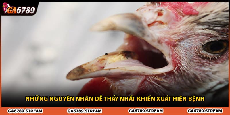 Những nguyên nhân dễ thấy nhất khiến xuất hiện bệnh