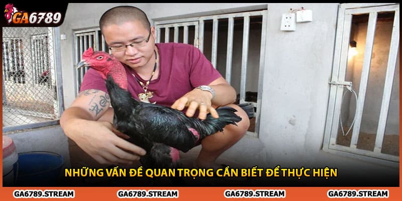 Những vấn đề quan trọng cần biết để thực hiện